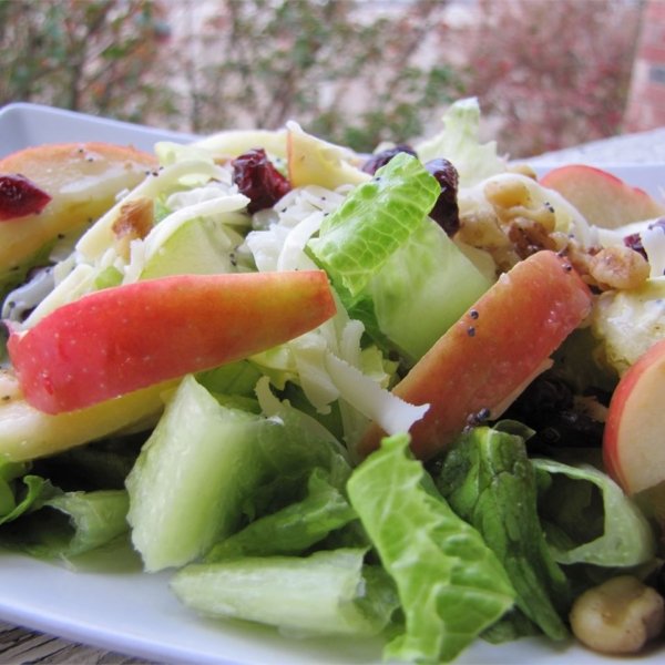 Winter Fruit Salad with Lemon Poppyseed Dressing